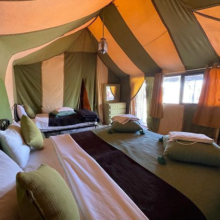Roses desert camp Merzouga Exterior foto